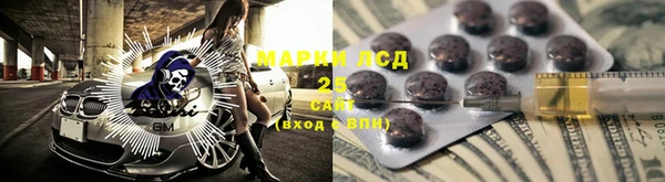 прущие крисы Тайга
