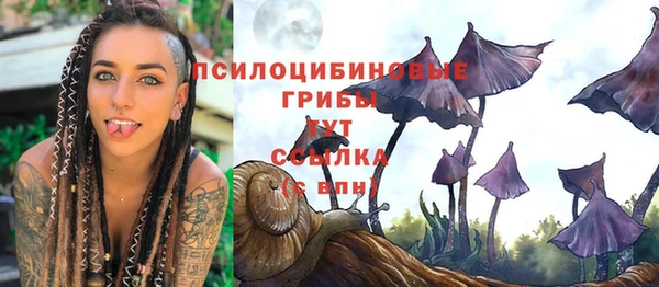 гашиш Сясьстрой
