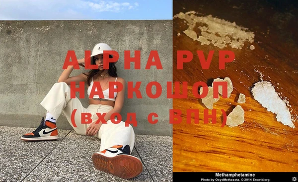 прущие крисы Тайга