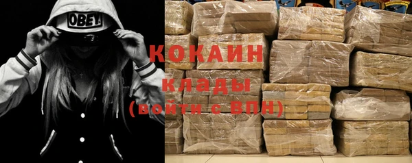 прущие крисы Тайга