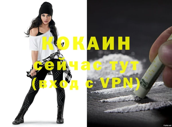 прущие крисы Тайга
