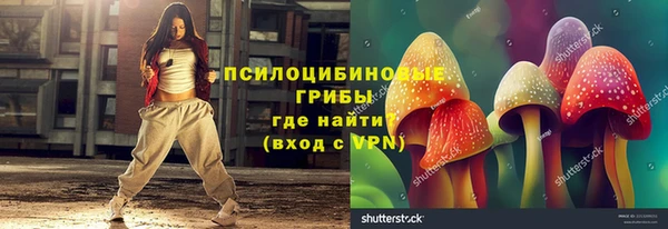 прущие крисы Тайга