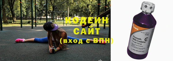 индика Ступино