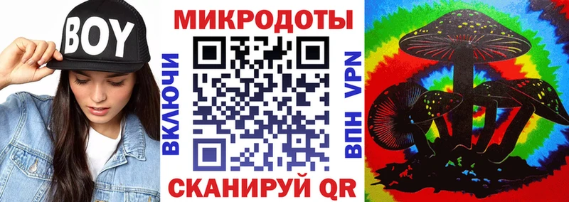 Галлюциногенные грибы Psilocybe  Елец 